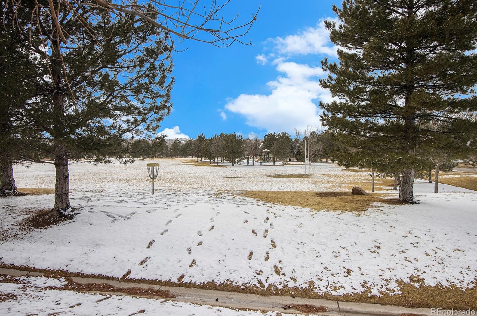 6424 Silver Mesa Dr, Littleton CO  80130-5886 exterior