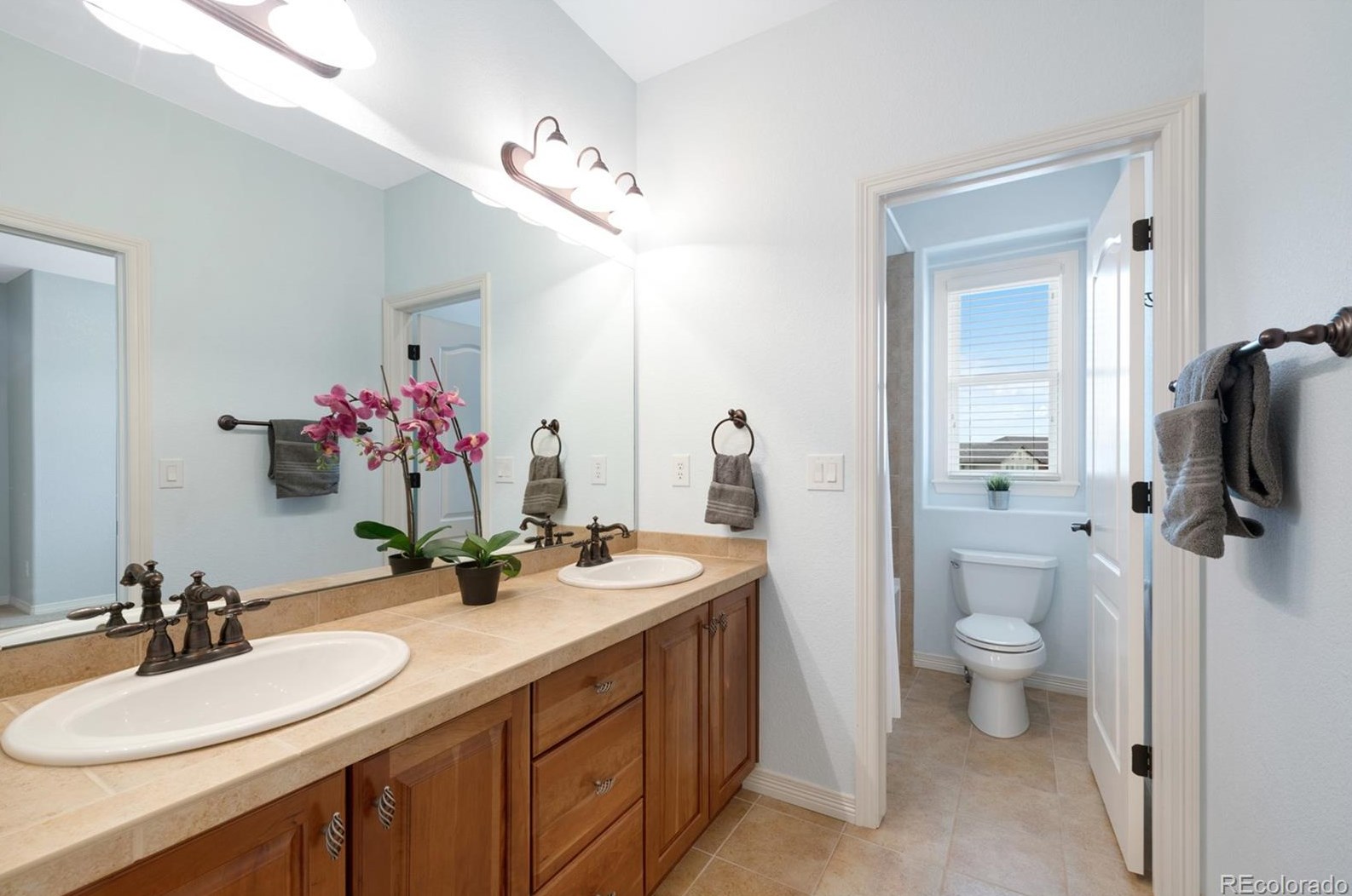 4568 Valleybrook Dr, Littleton CO  80130-6965 exterior