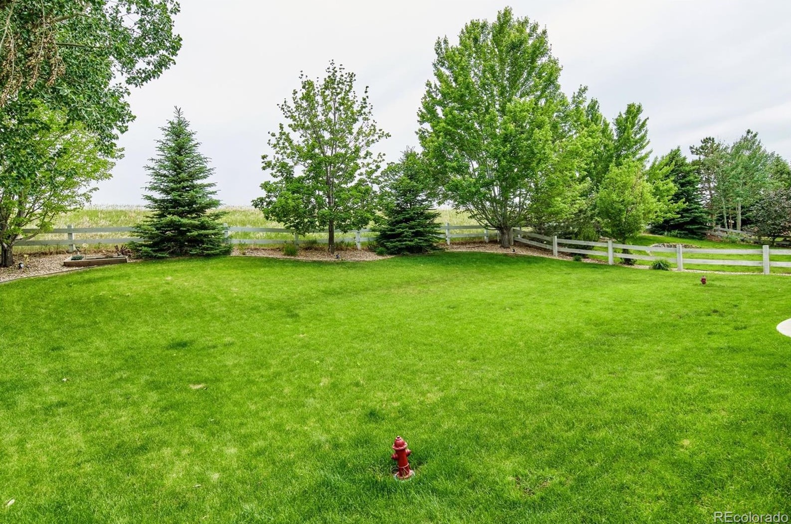 690 Briar Dale Dr, Castle Rock CO  80108-5504 exterior