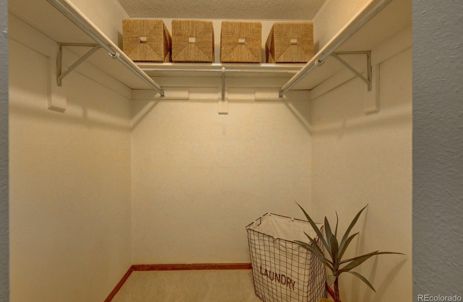 5619 Youngfield Way, Littleton CO 80127-2192 exterior