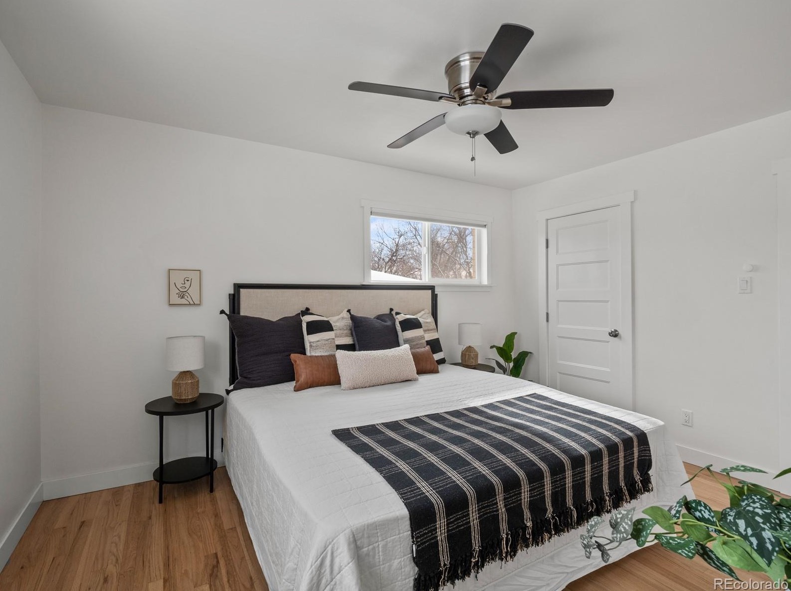 6906 Newcombe St, Arvada CO  80004-1478 exterior