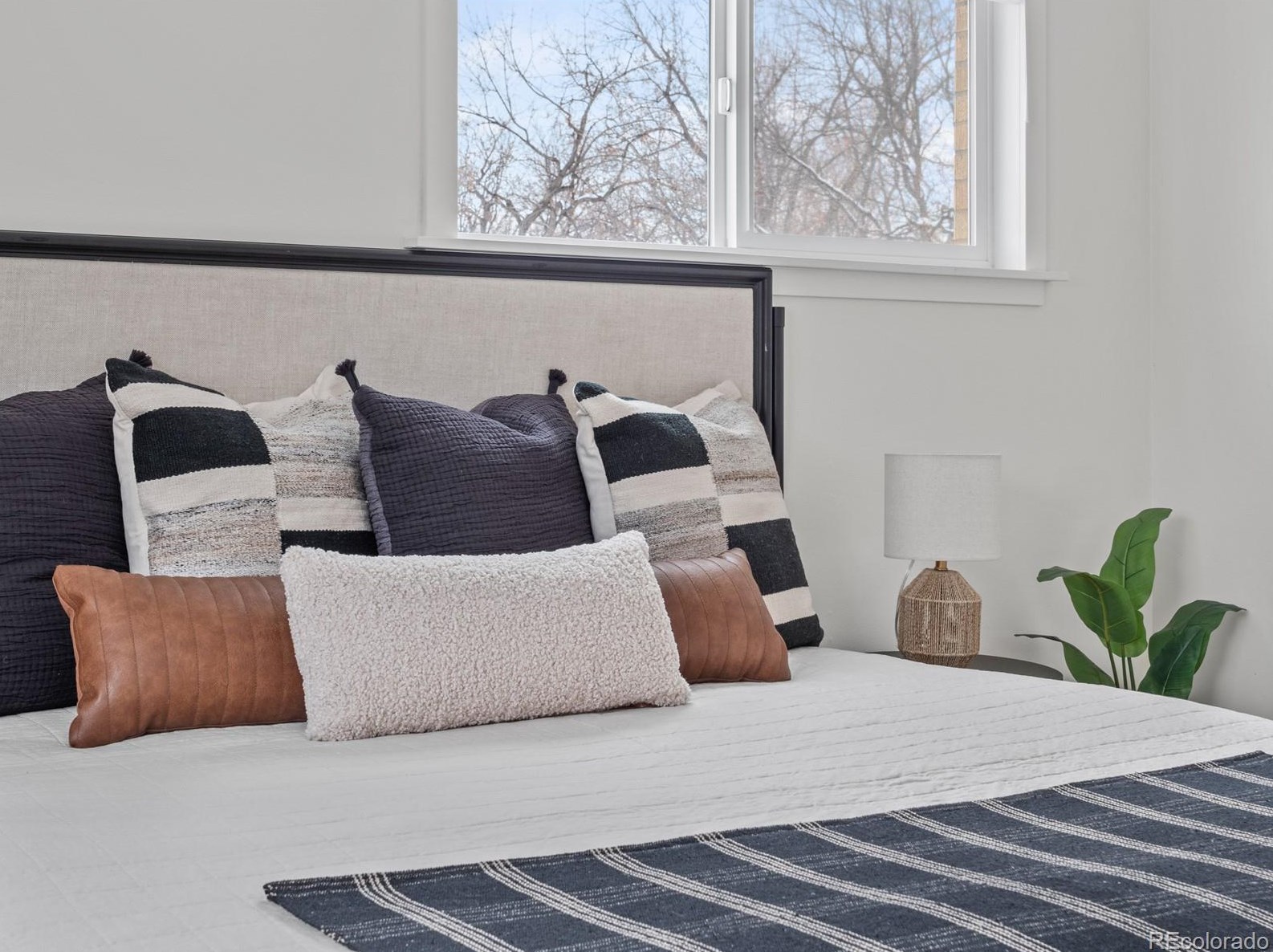 6906 Newcombe St, Arvada CO  80004-1478 exterior