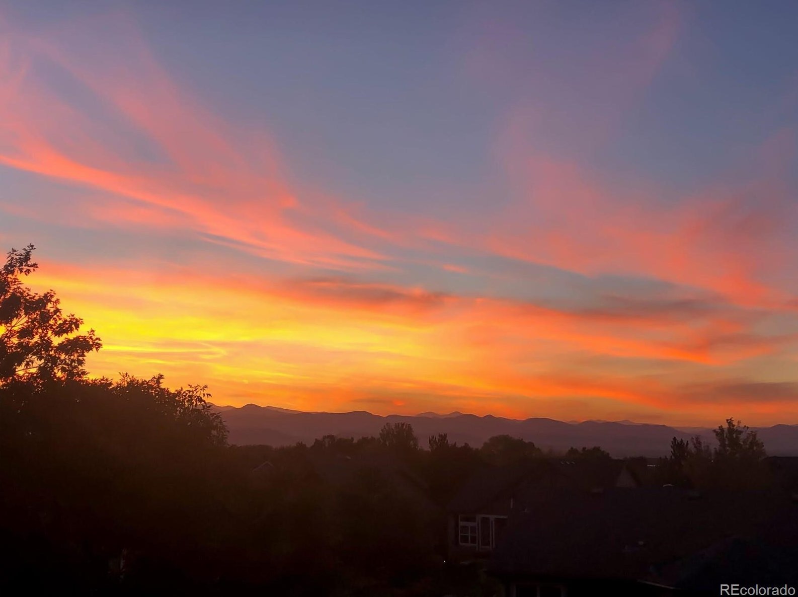 10311 Royal Eagle Ln, Littleton CO 80129-6283 exterior