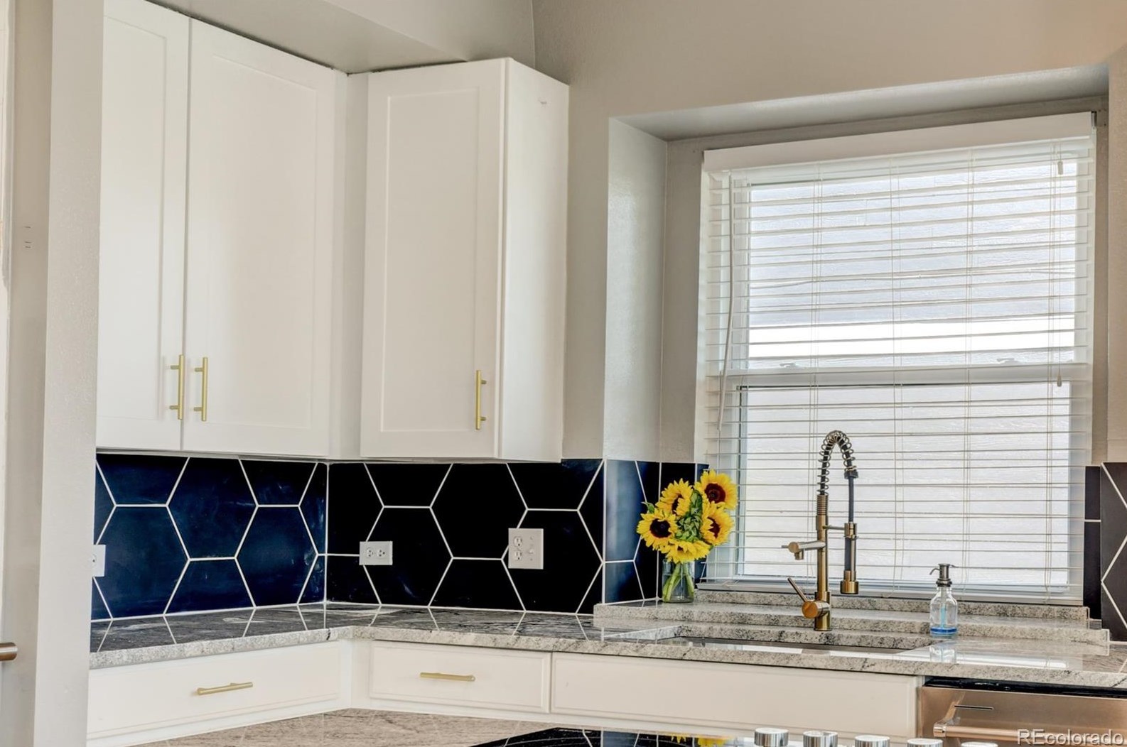 9944 Gwendelyn Pl, Littleton CO 80129-6219 exterior