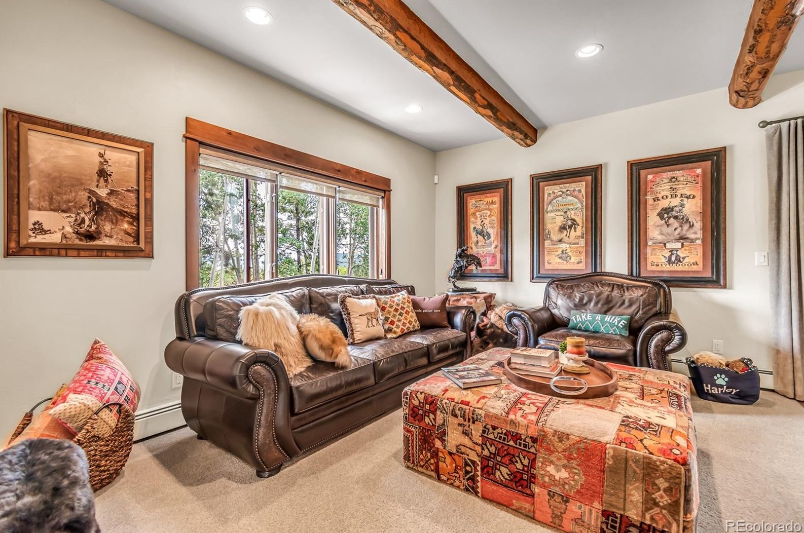 629 Meadowbrook Cir, Steamboat Springs CO  80487-3043 exterior