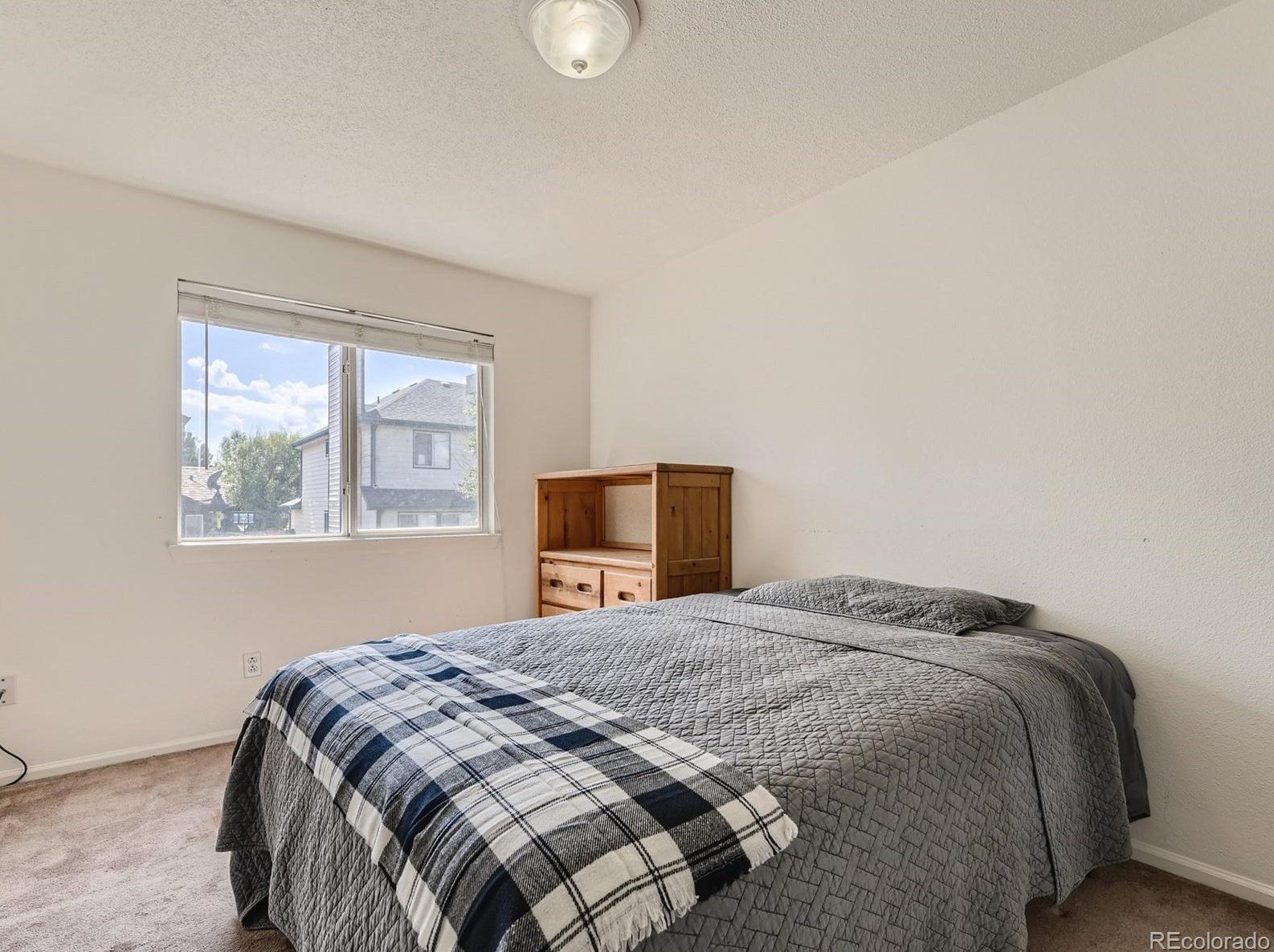 151 Carlton St, Castle Rock CO 80104-8949 exterior