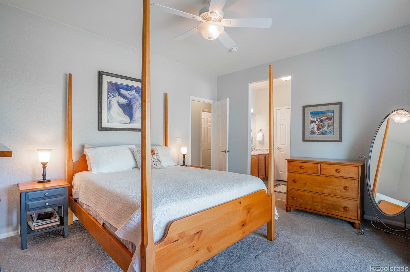 291 Falmouth St, Castle Rock CO 80104-8743 exterior