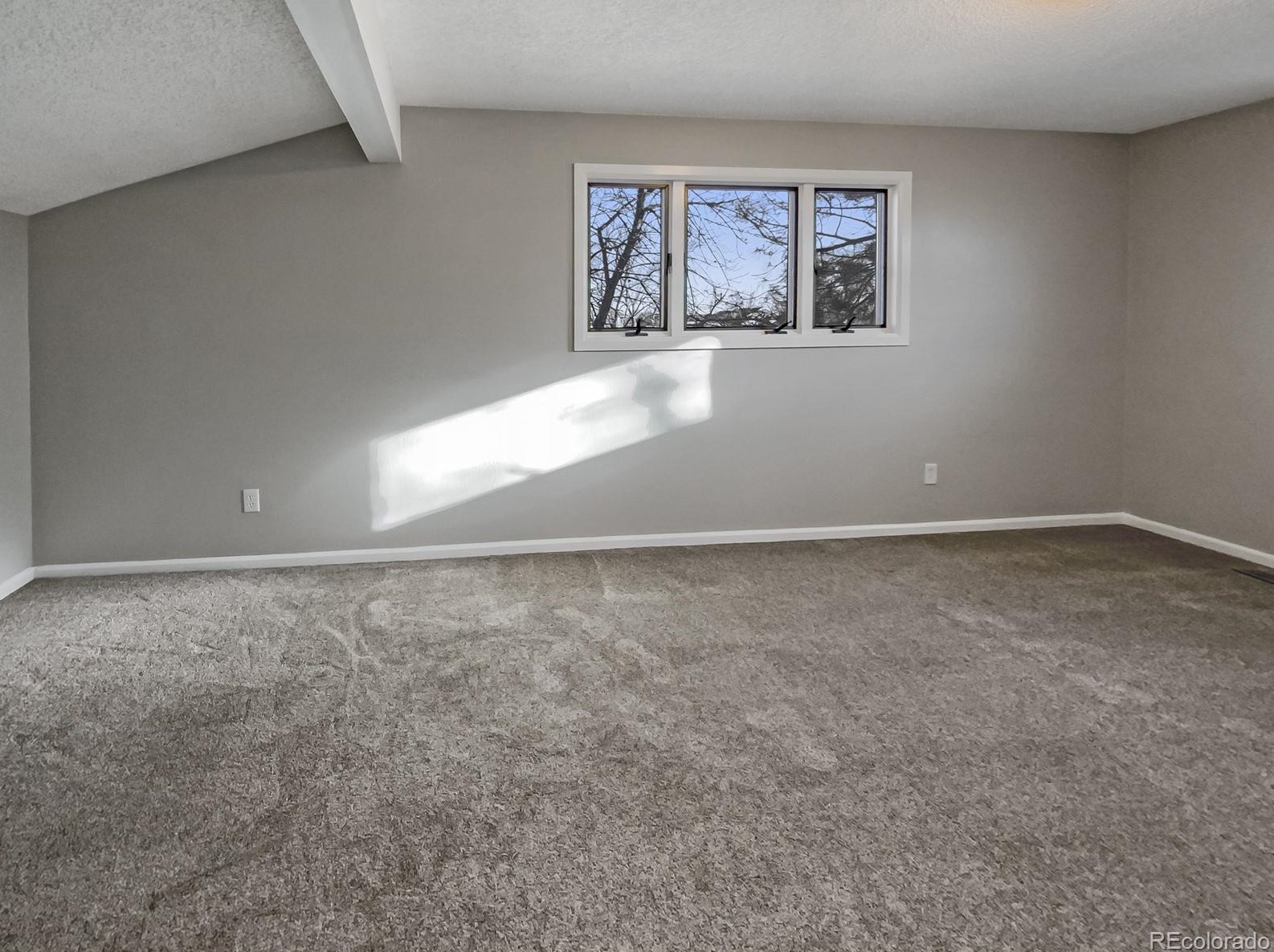 7385 Alkire Ct, Arvada CO  80005-2820 exterior