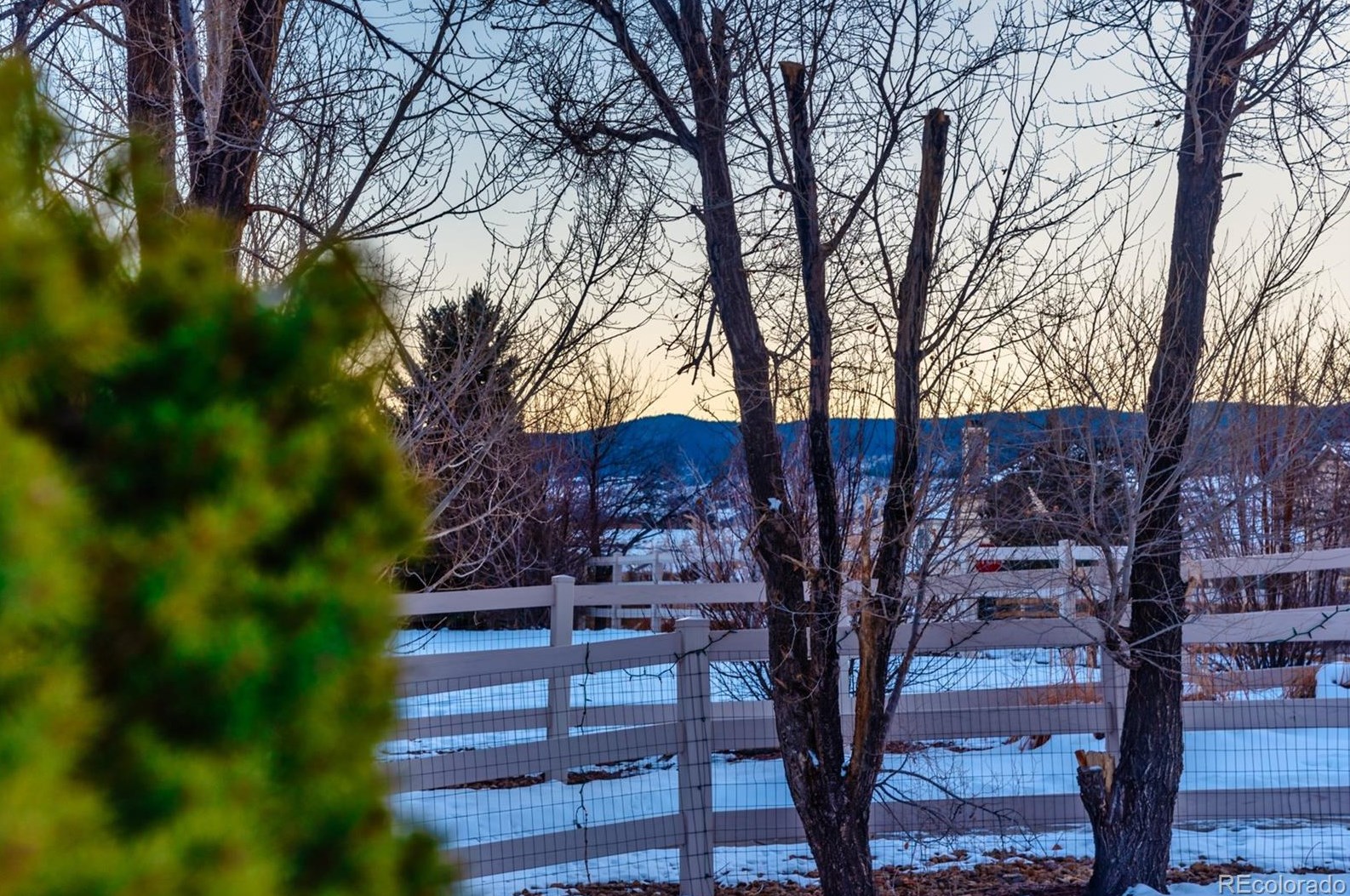 9625 Mallard Pond Way, Littleton CO  80125-8872 exterior