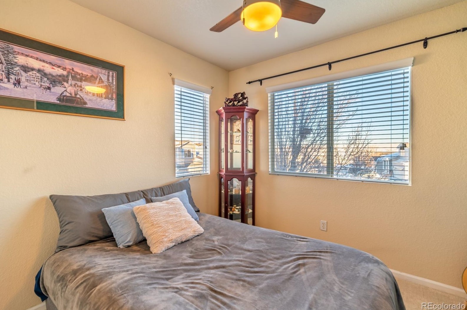 9625 Mallard Pond Way, Littleton CO  80125-8872 exterior