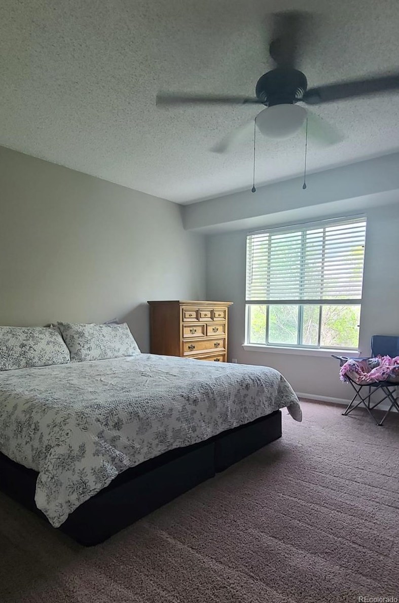 4308 Bennington Ave, Castle Rock CO  80104-8581 exterior