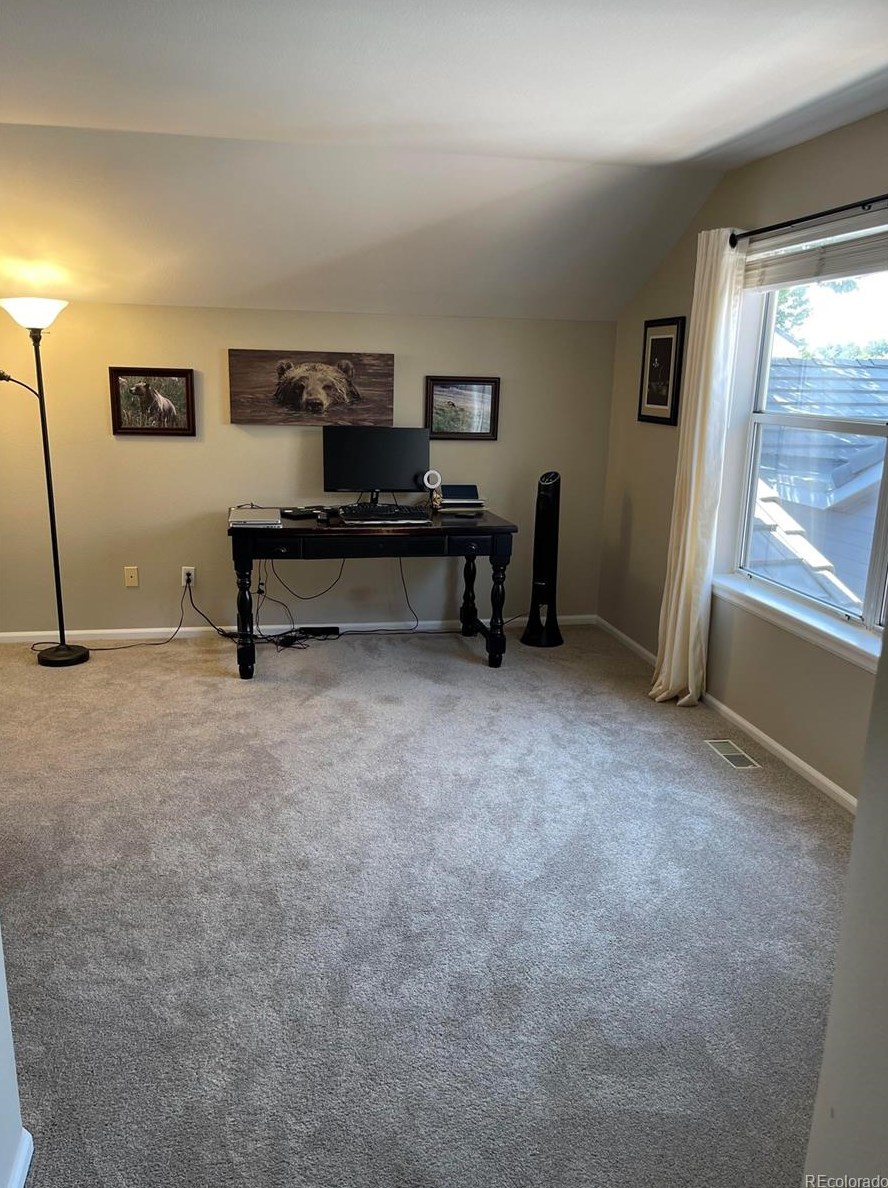 8703 Wentworth Ct, Littleton CO  80124-3112 exterior