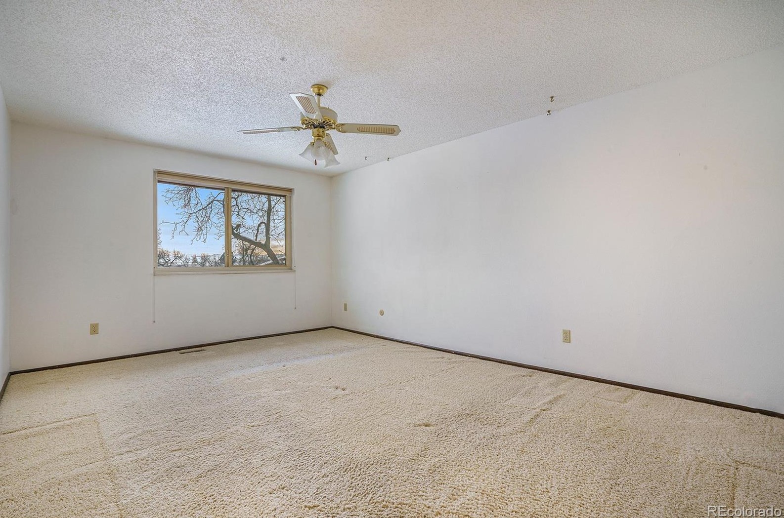 7643 Owens St, Arvada CO  80005-3440 exterior