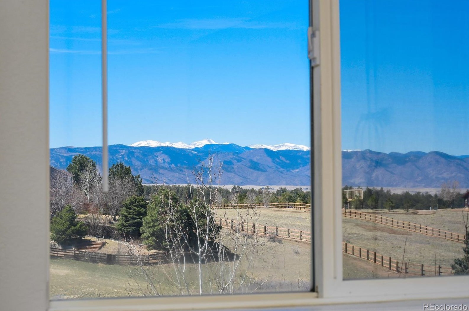 4377 Bobolink Dr, Castle Rock CO  80109-7874 exterior