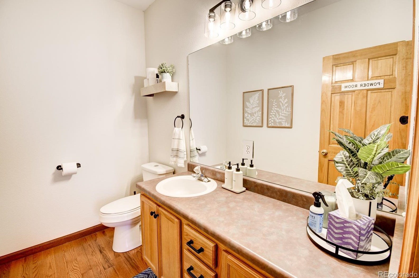 4377 Bobolink Dr, Castle Rock CO  80109-7874 exterior