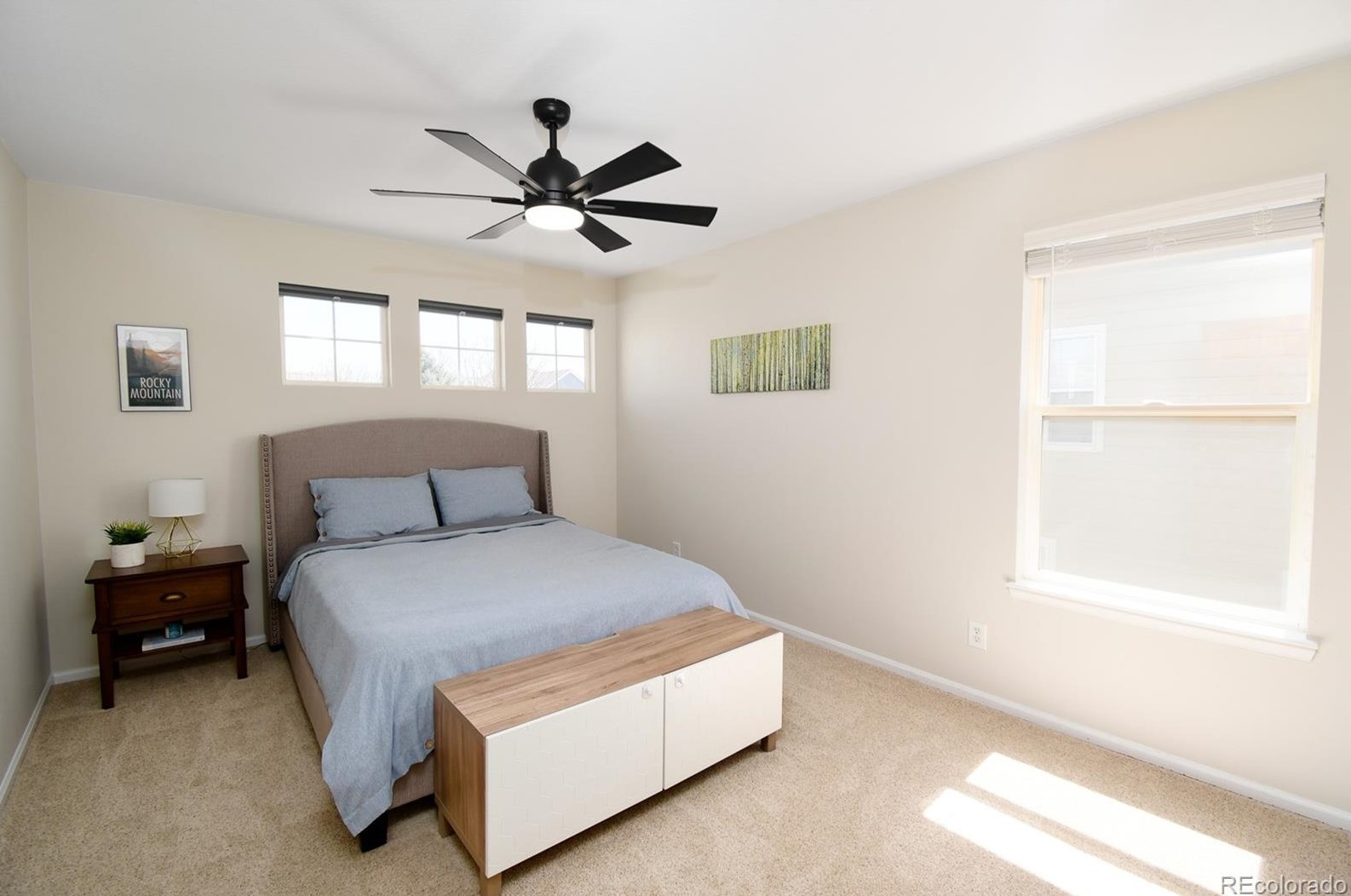 4377 Bobolink Dr, Castle Rock CO  80109-7874 exterior