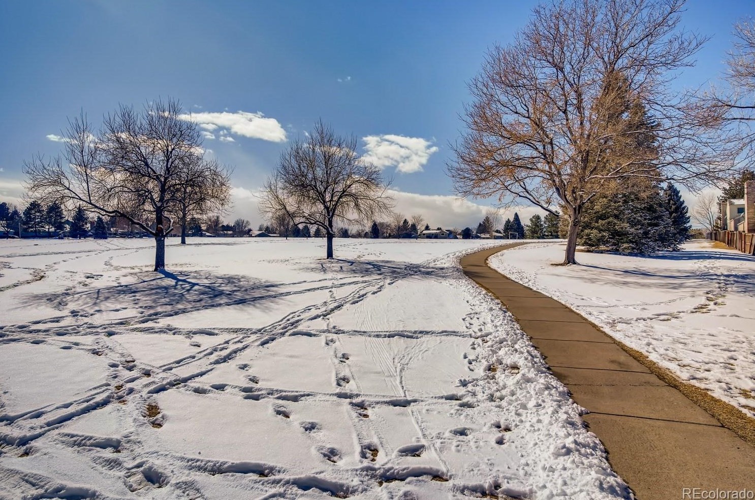 7700 Cove Cir, Littleton CO 80122-3355 exterior