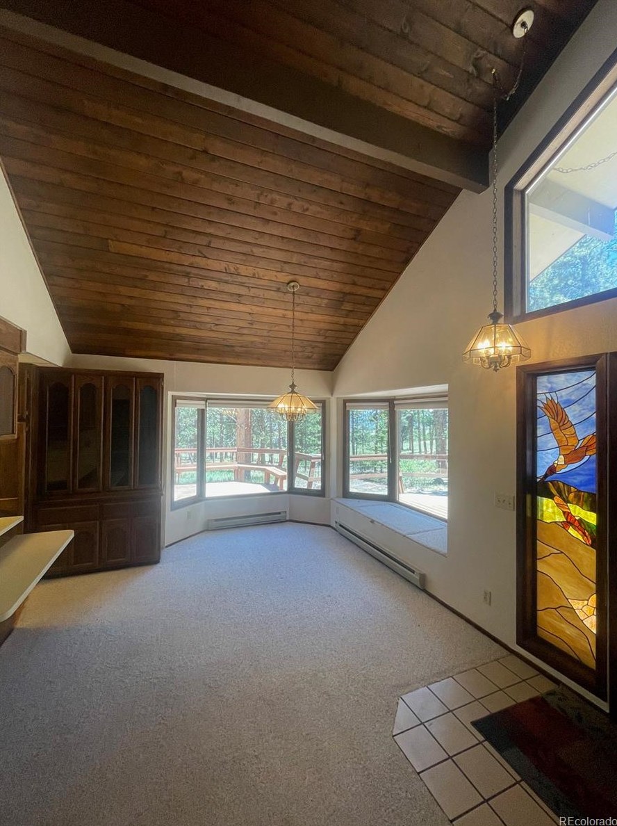 18563 Vis Dr, Buena Vista CO exterior