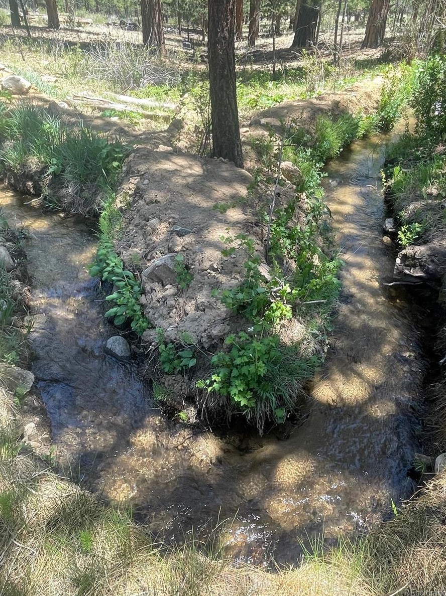 18563 Vis Dr, Buena Vista CO exterior