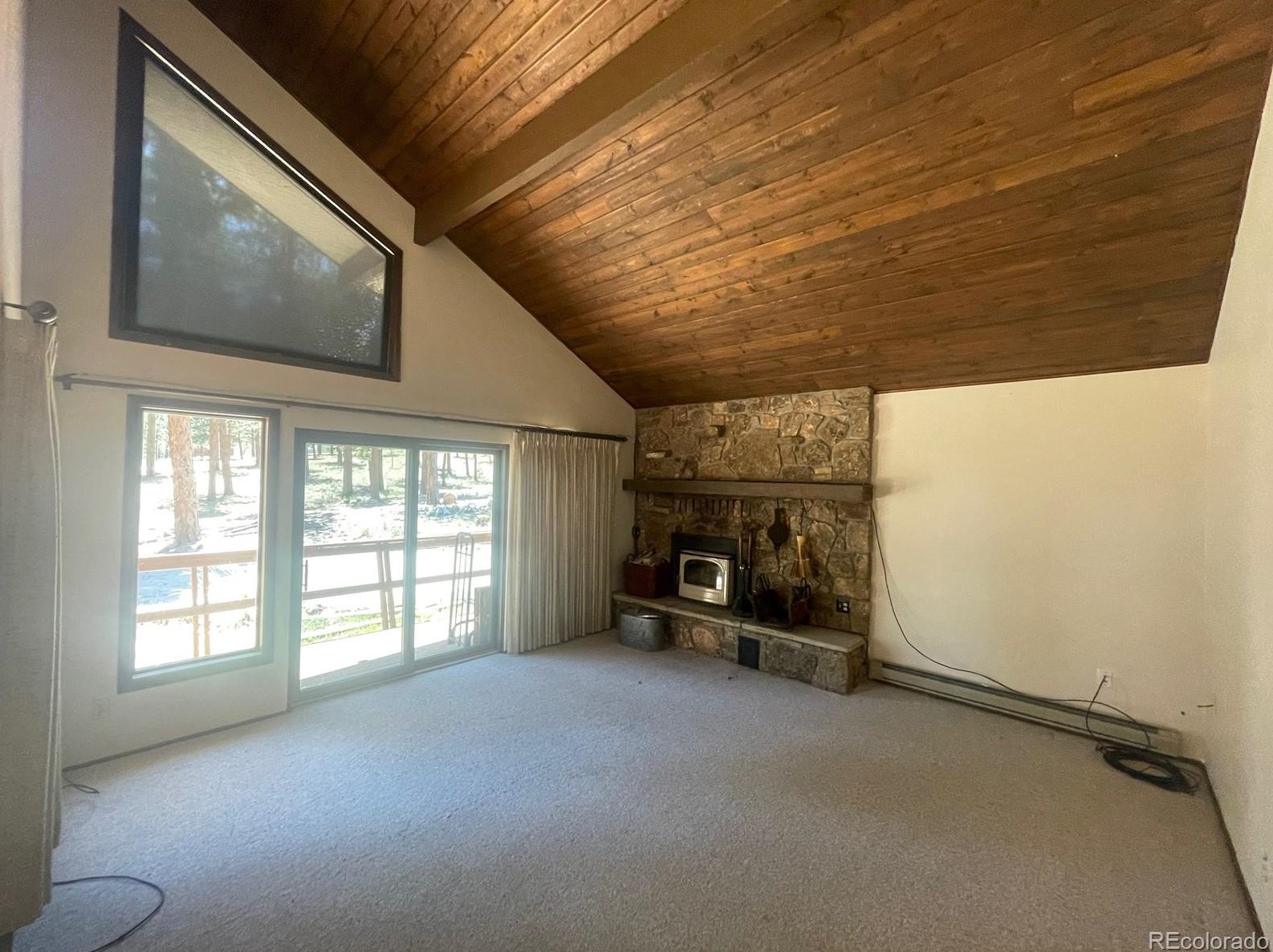 18563 Vis Dr, Buena Vista CO exterior