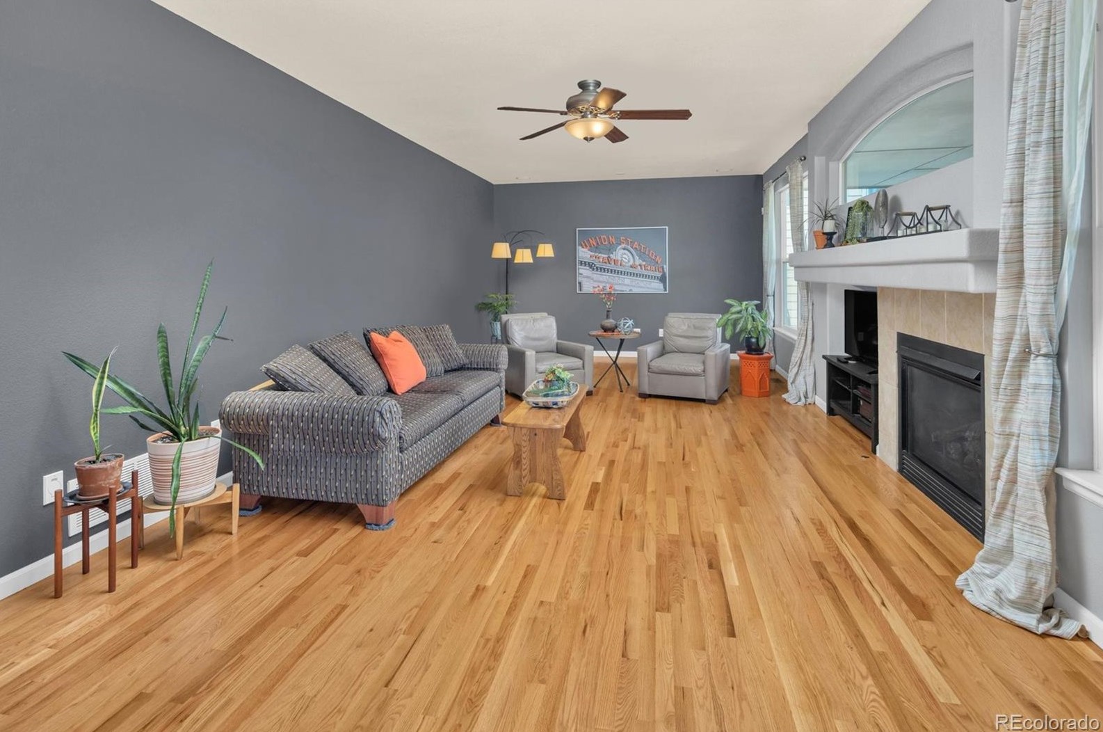 8321 Arbutus St, Arvada CO  80005-5808 exterior