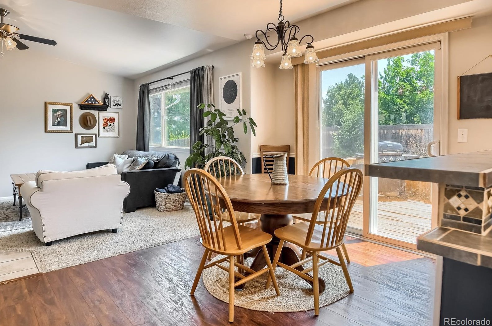 1309 Parsons Ave, Castle Rock CO  80104-5473 exterior