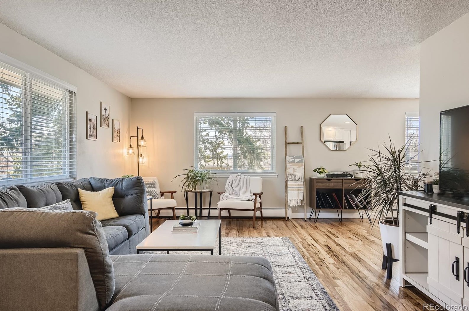 5309 Roxbury Pl, Littleton CO  80128-4967 exterior