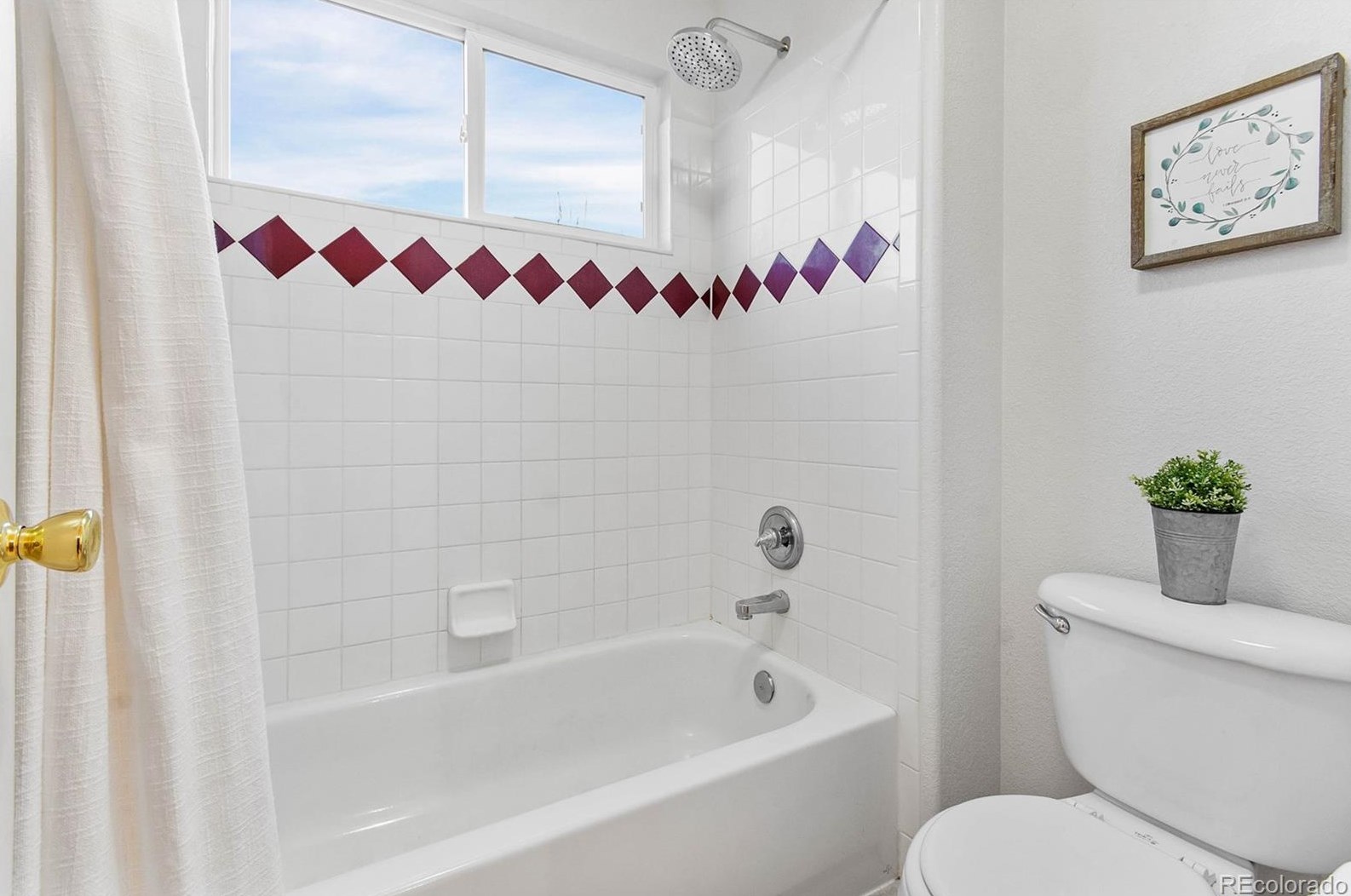 648 Pitkin Way, Castle Rock CO  80104-3267 exterior