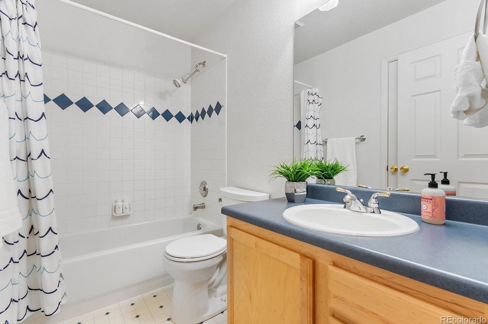 648 Pitkin Way, Castle Rock CO  80104-3267 exterior