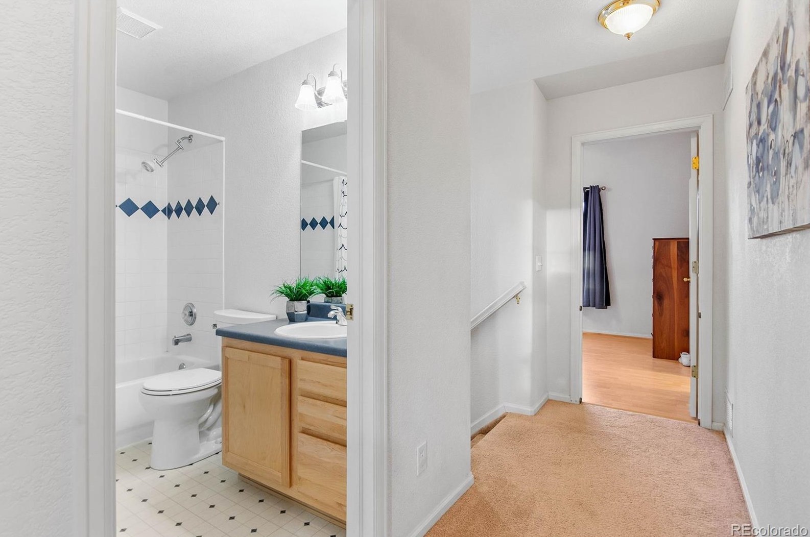 648 Pitkin Way, Castle Rock CO  80104-3267 exterior