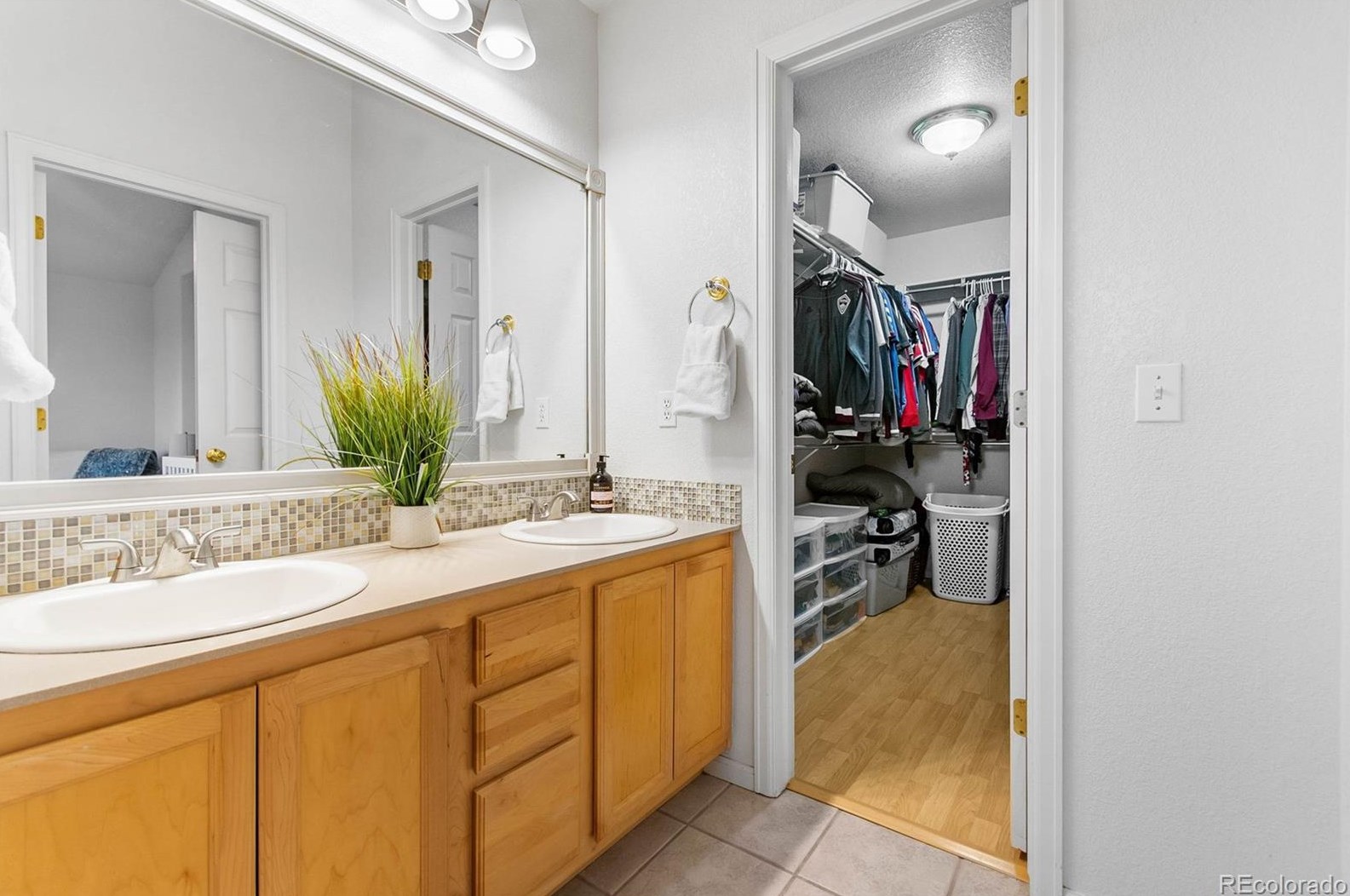 648 Pitkin Way, Castle Rock CO  80104-3267 exterior