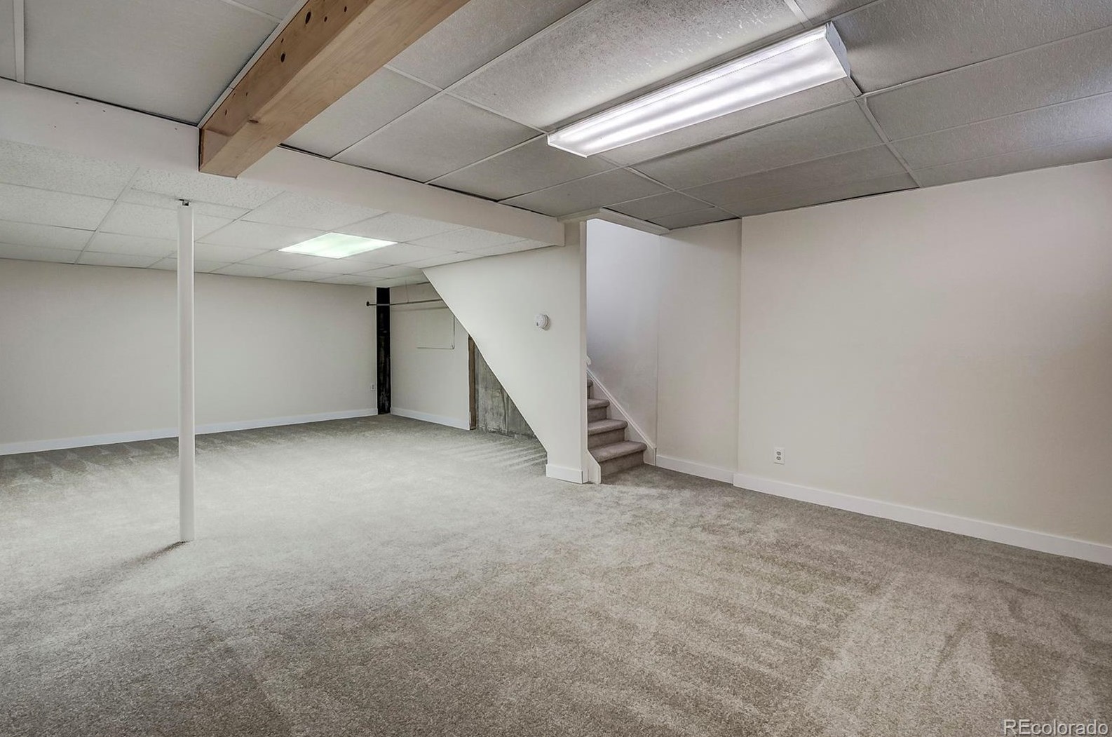 7519 Webster Ct, Littleton CO 80128-4857 exterior