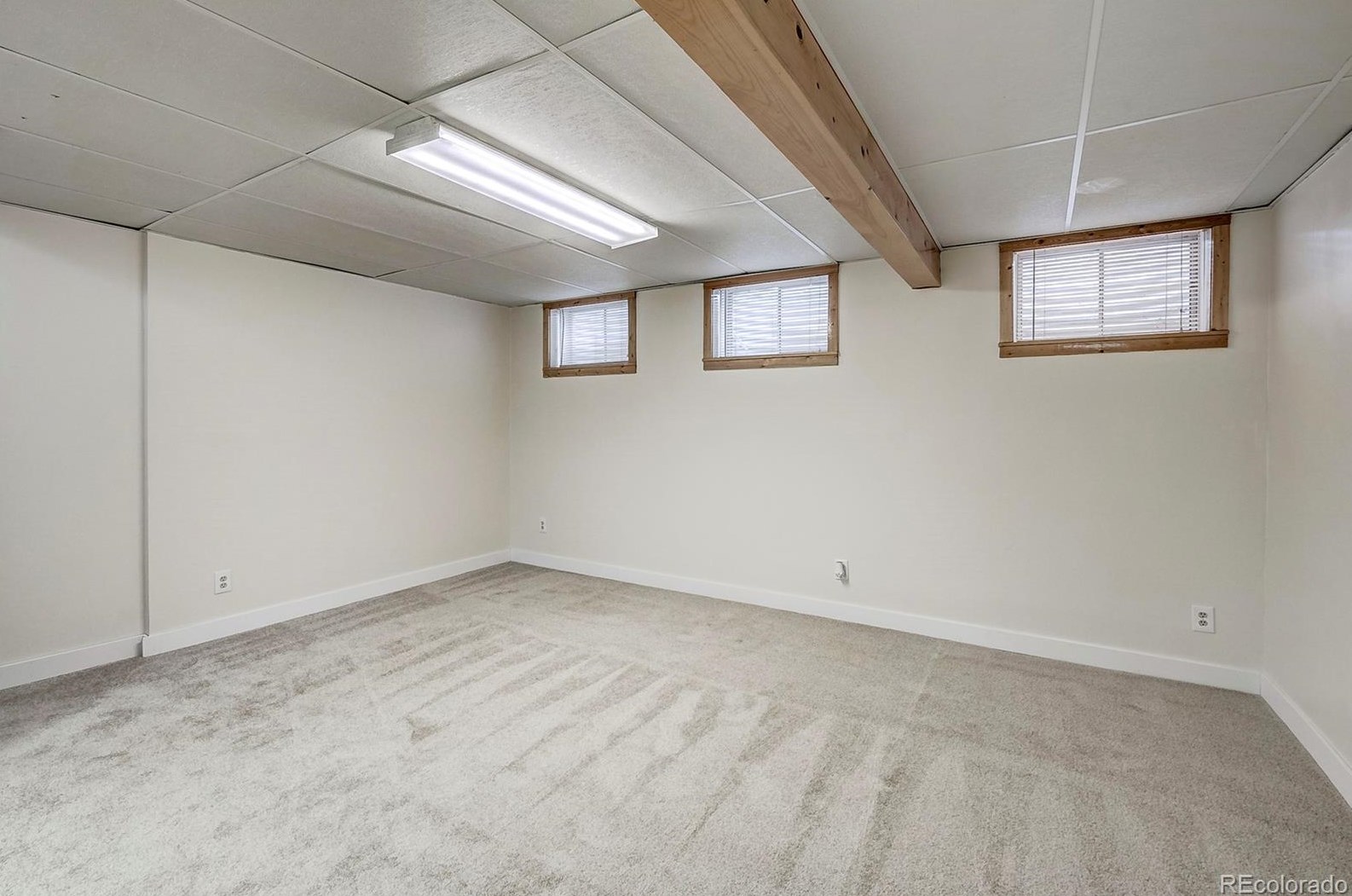 7519 Webster Ct, Littleton CO 80128-4857 exterior