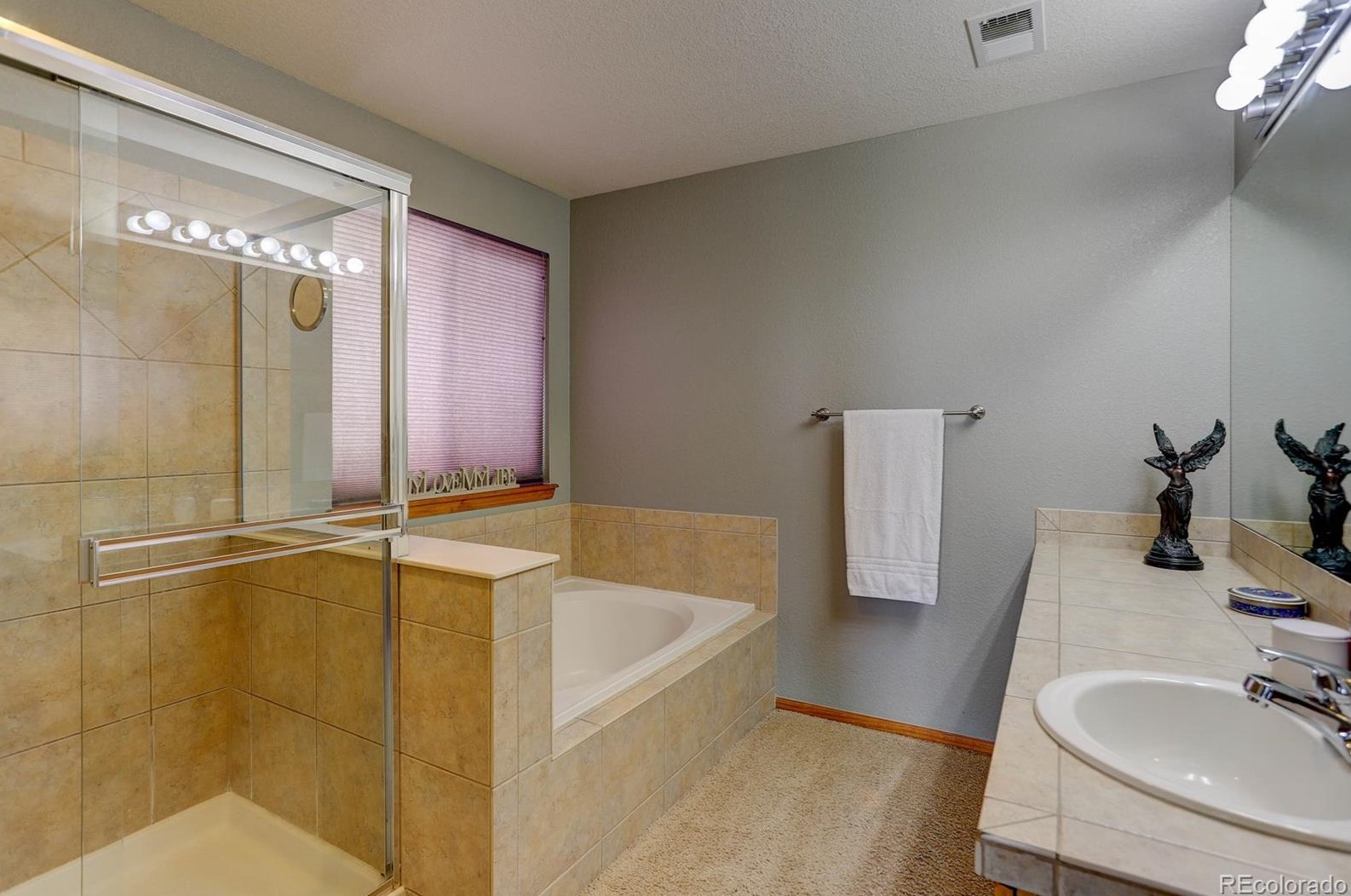 5261 Lost Mdw Trl, Castle Rock CO 80104-5231 exterior