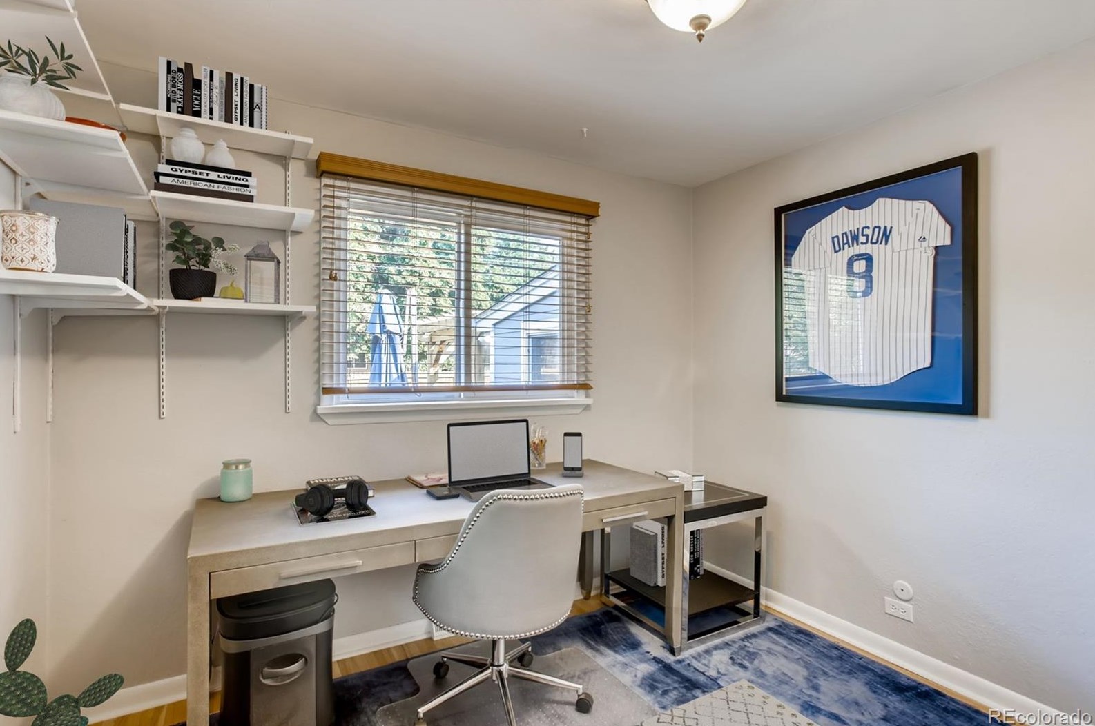 5815 Lakeview St, Littleton CO  80120-2323 exterior