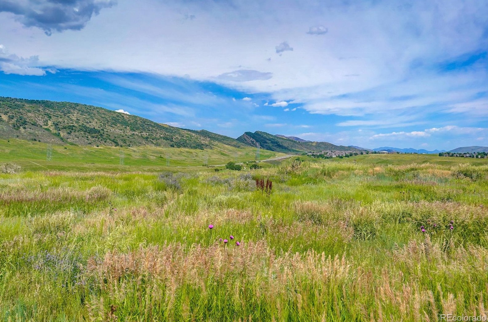 7479 Alkire St, Littleton CO  80127-7541 exterior