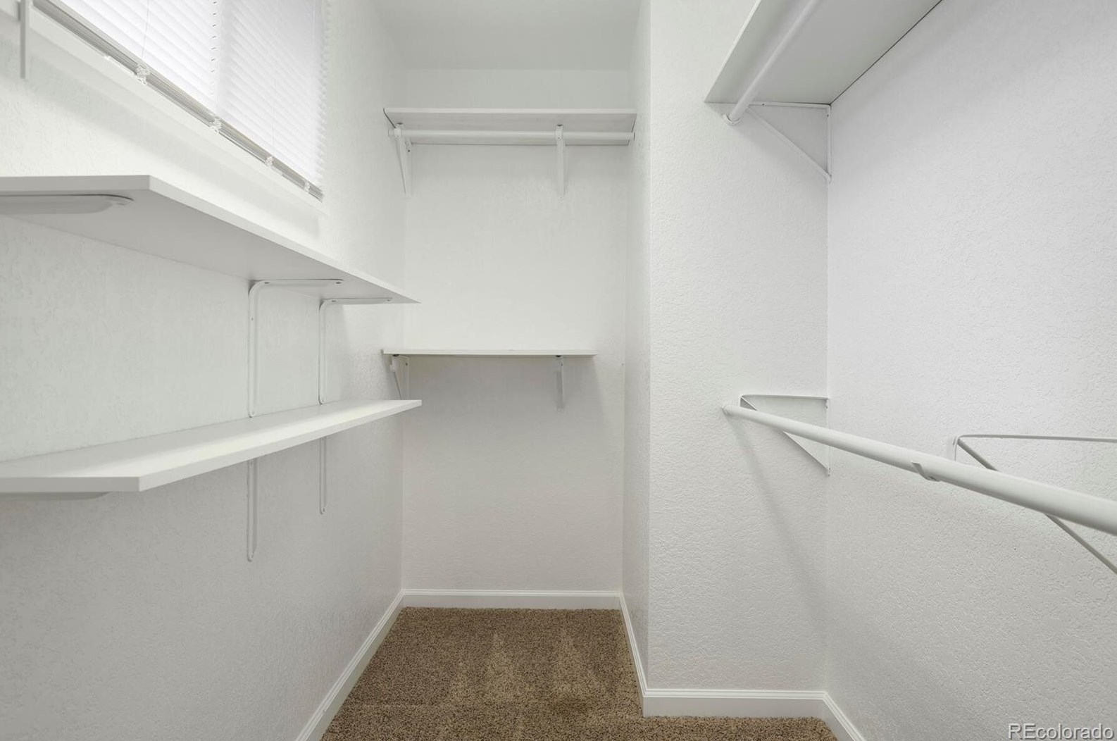 105 Birch Ave, Castle Rock CO 80104-2225 exterior