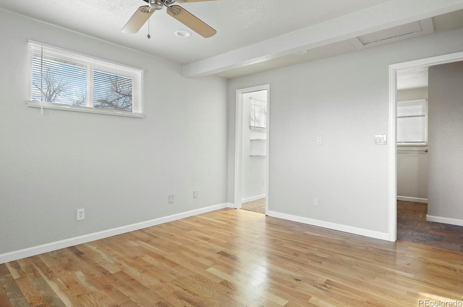 105 Birch Ave, Castle Rock CO 80104-2225 exterior