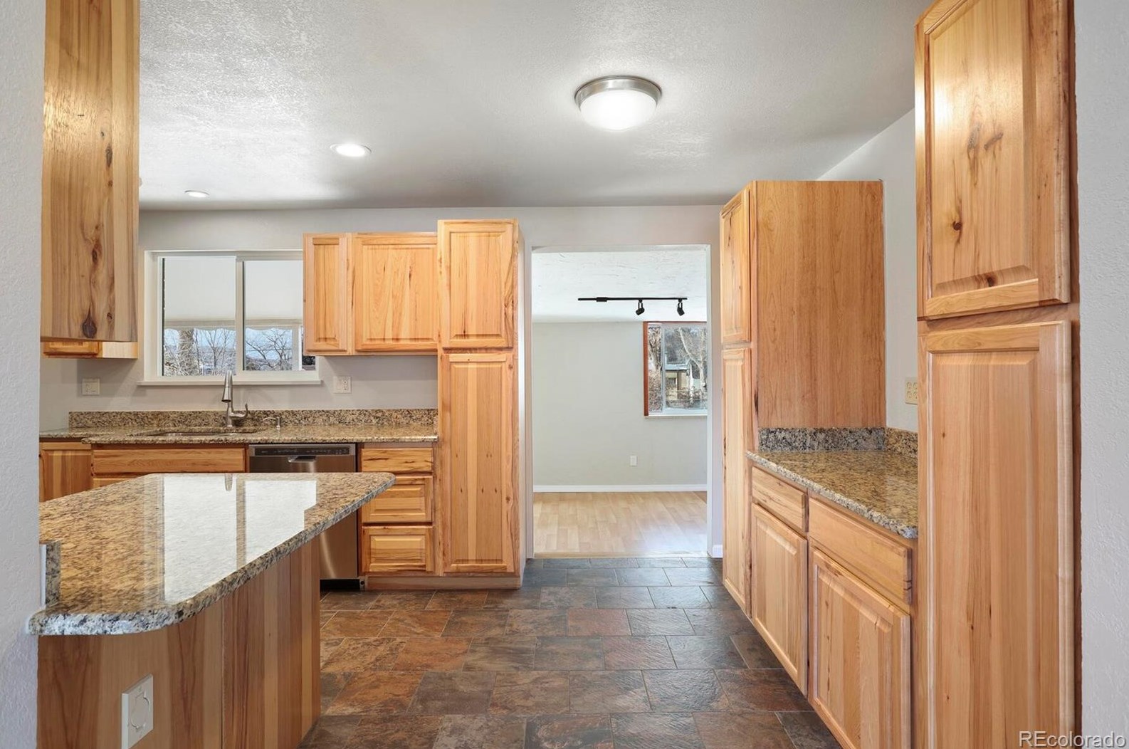 105 Birch Ave, Castle Rock CO 80104-2225 exterior