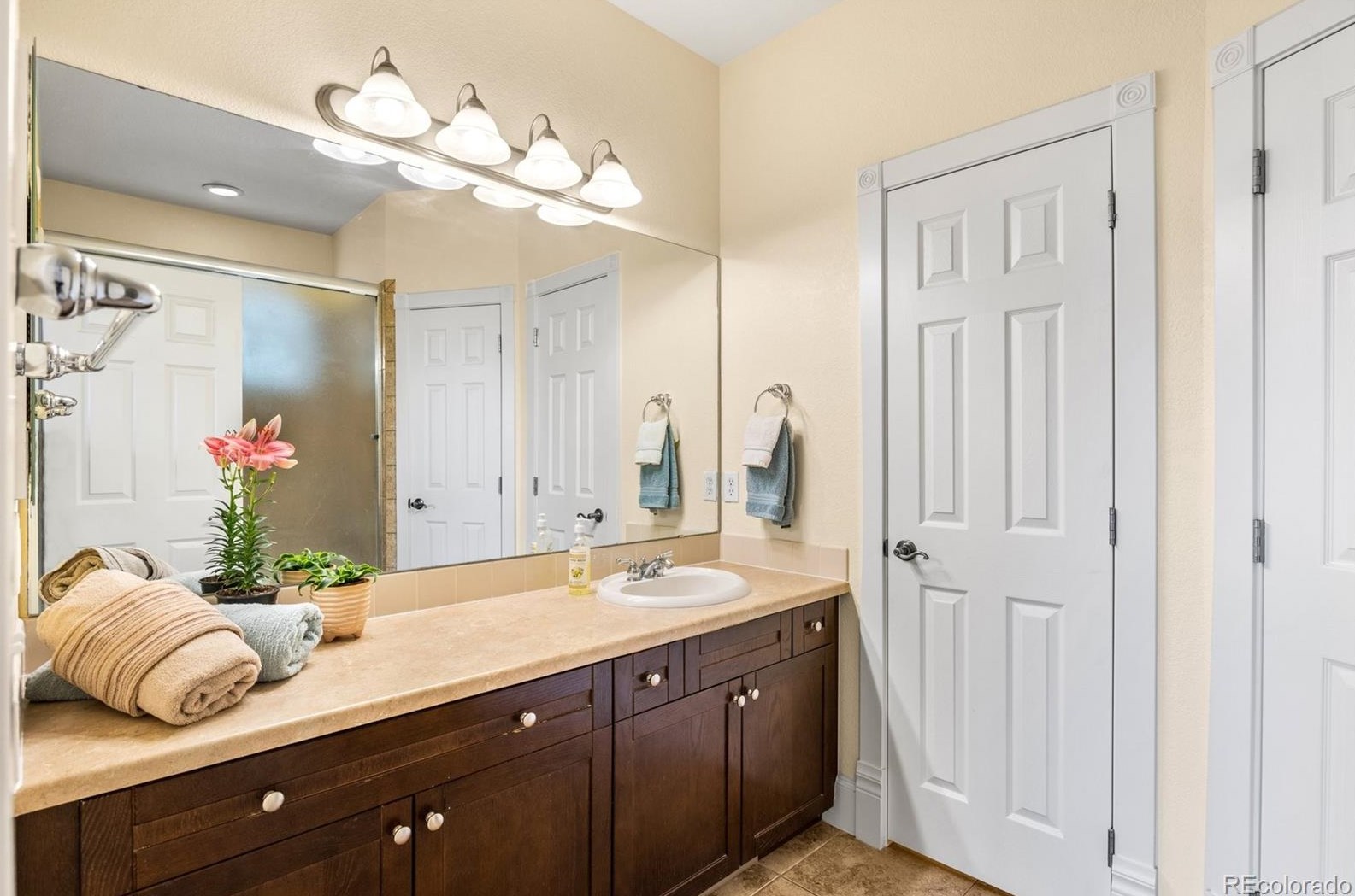 4323 Pr Rose Cir, Castle Rock CO 80109-4557 exterior