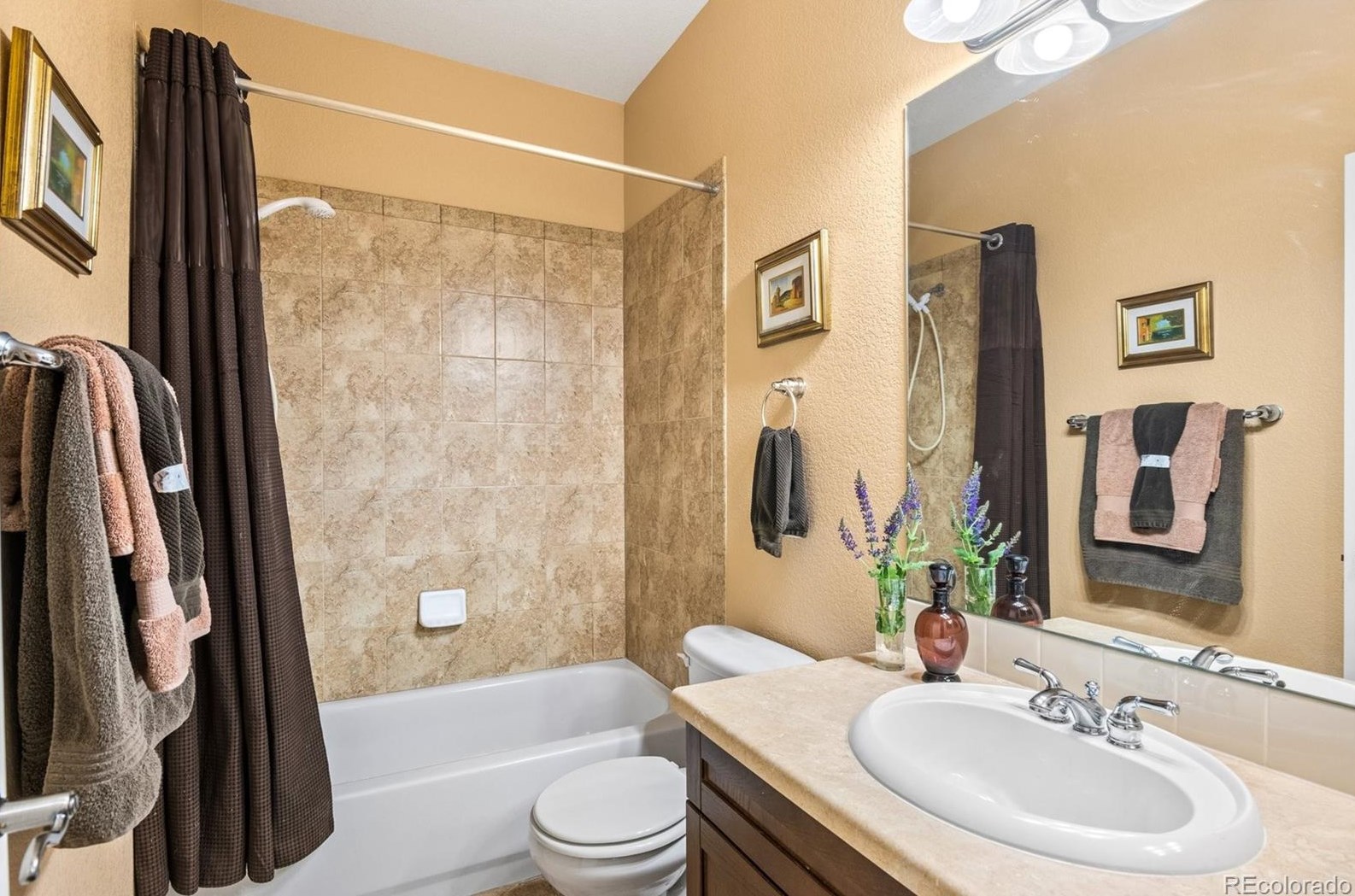 4323 Pr Rose Cir, Castle Rock CO 80109-4557 exterior