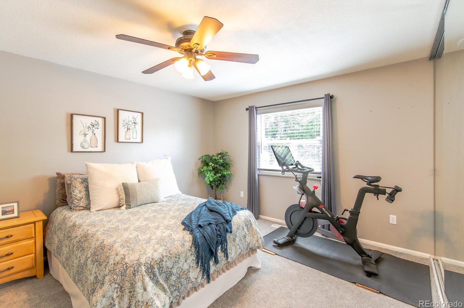 5566 Davies Pl, Littleton CO 80122-2141 exterior