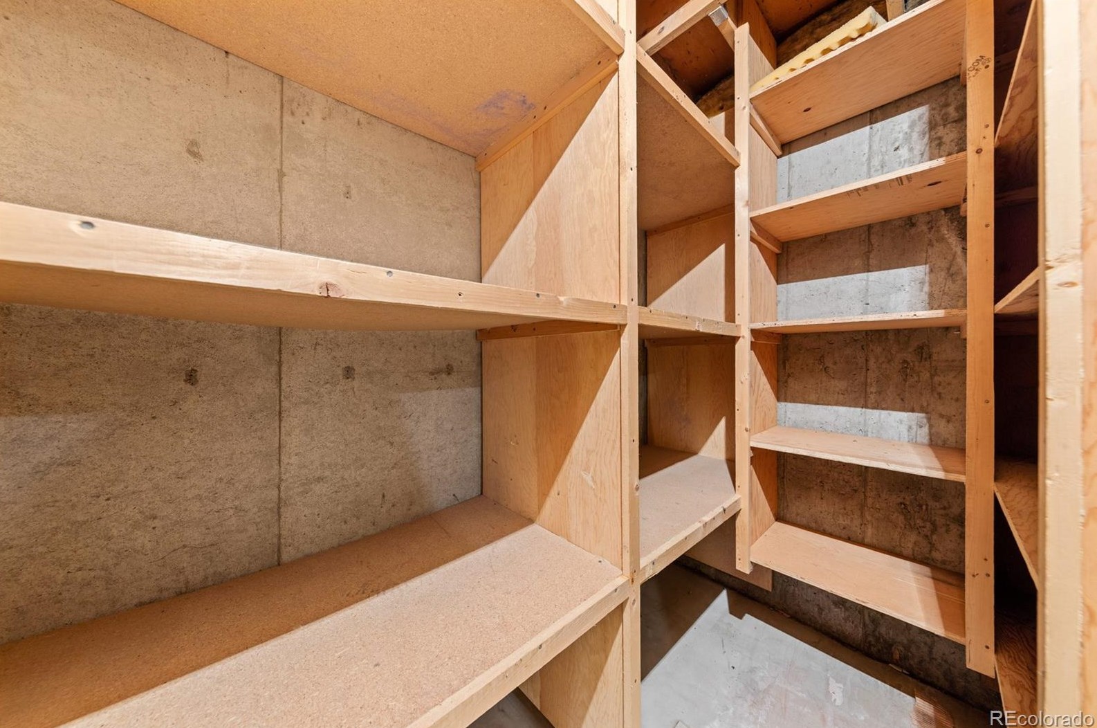 5244 Everett Ct, Littleton CO 80128-7104 exterior