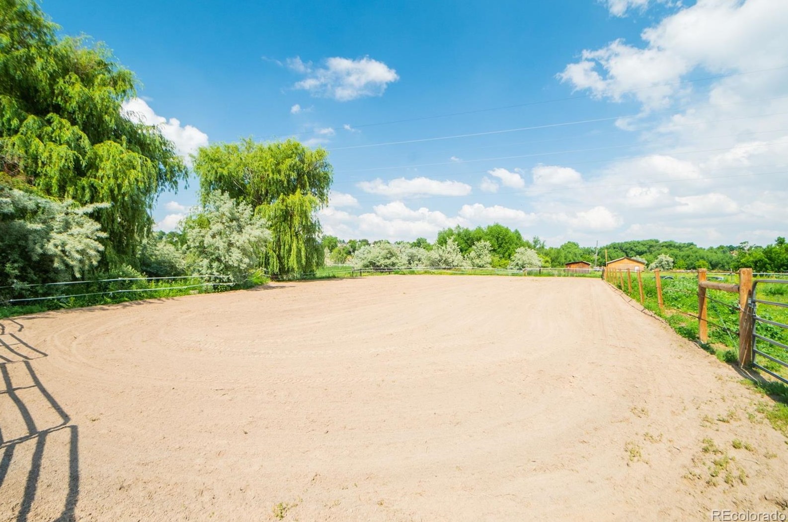 12441 75th Ave, Arvada CO  80005-3117 exterior