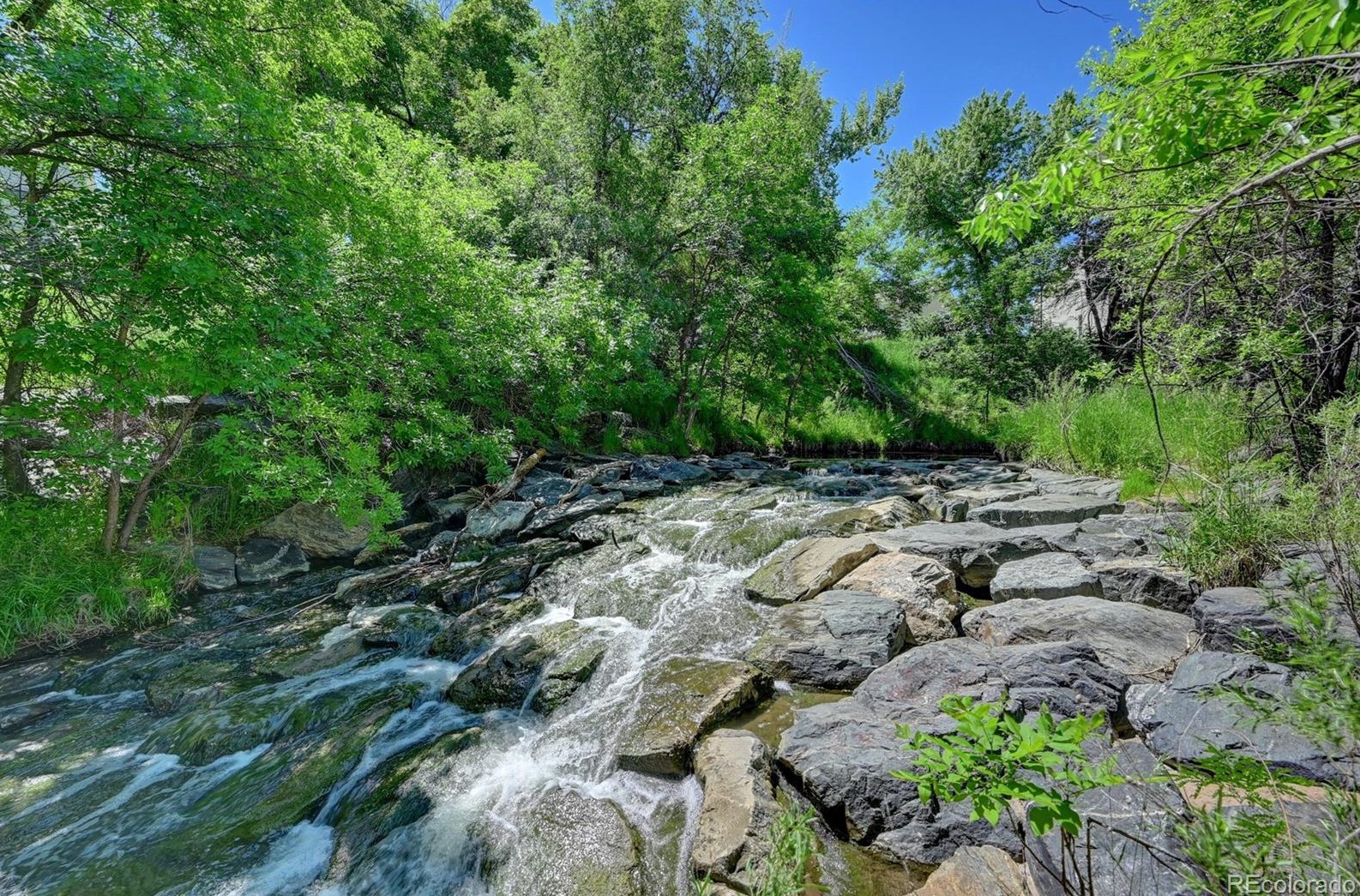 4208 Maplewood Way, Littleton CO  80121-3319 exterior