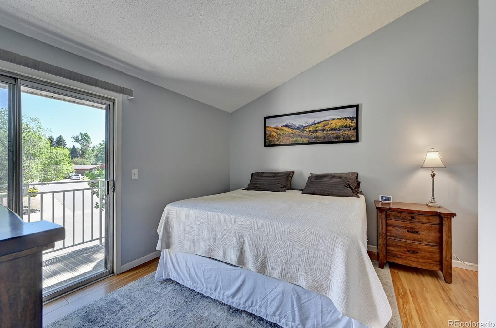 4208 Maplewood Way, Littleton CO  80121-3319 exterior