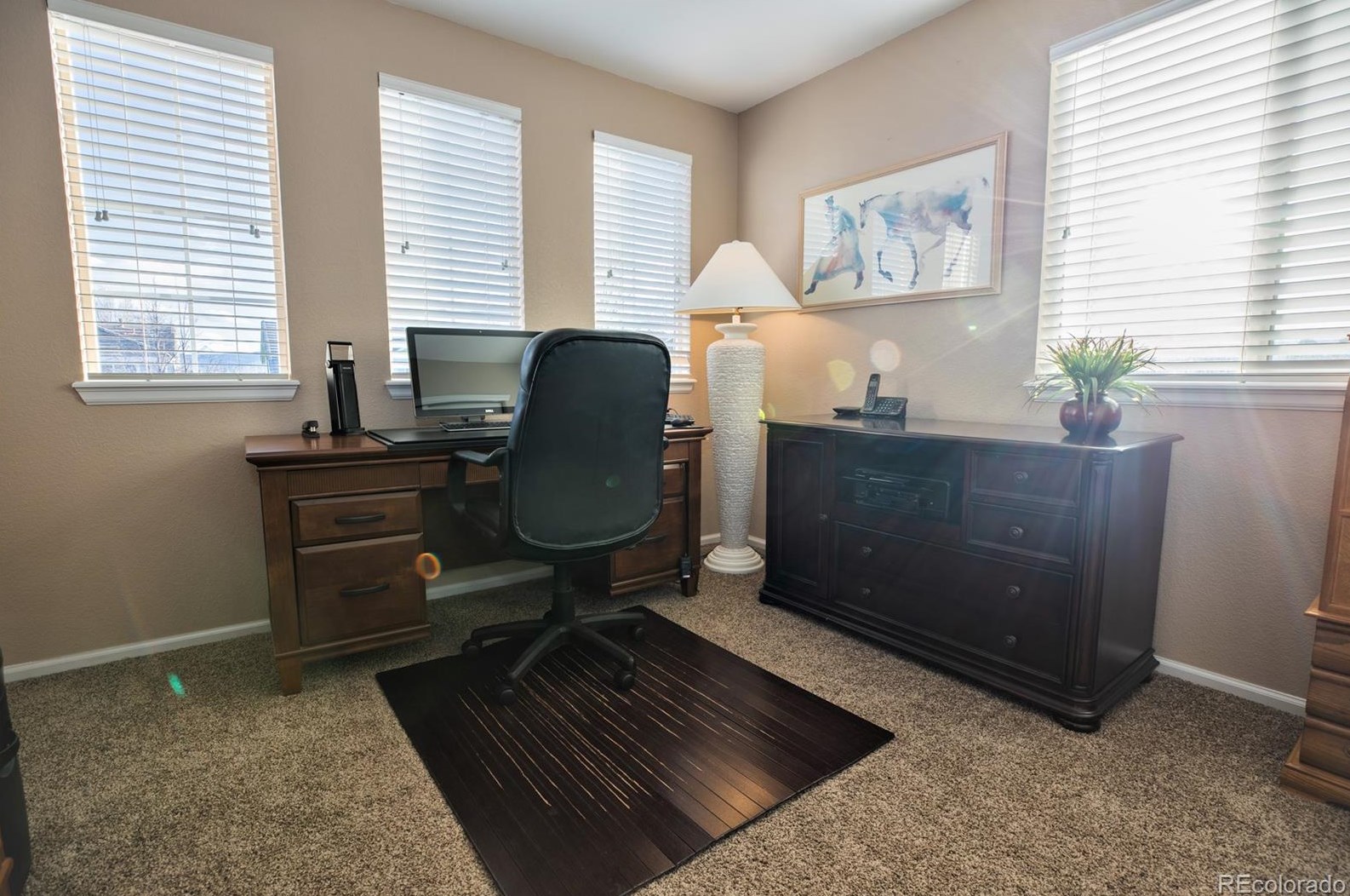 6881 Remington Pl, Littleton CO 80128-8318 exterior