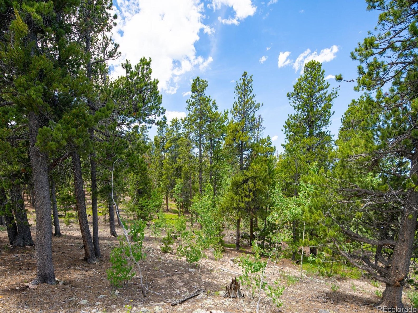 68 Athena Rd, Arvada CO  80422-4019 exterior