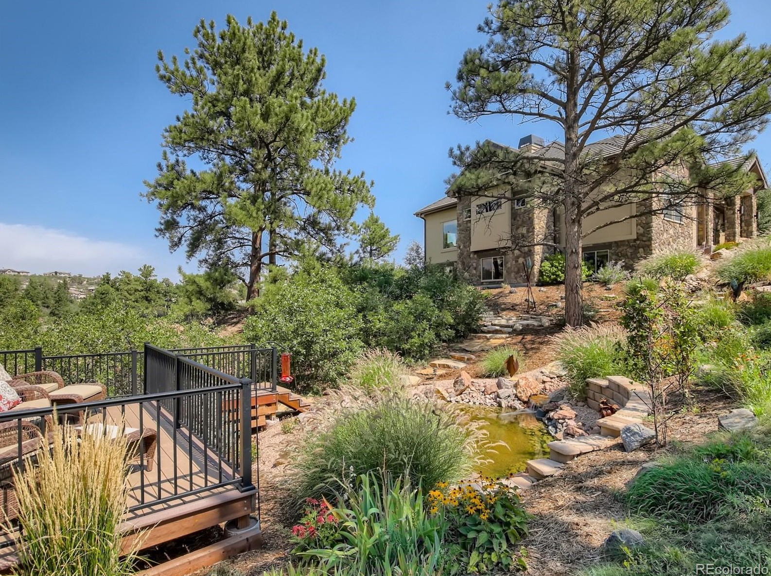 1659 Avenida Del Sol, Castle Rock CO 80104-7672 exterior