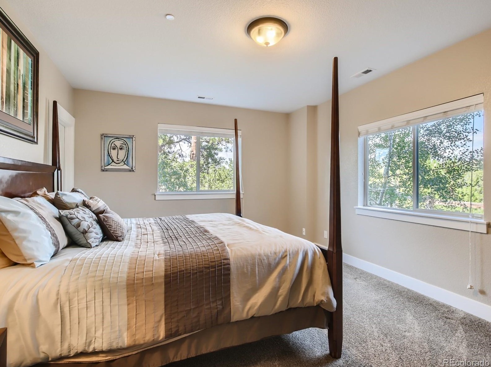 1659 Avenida Del Sol, Castle Rock CO 80104-7672 exterior